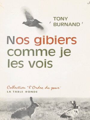 cover image of Nos gibiers comme je les vois